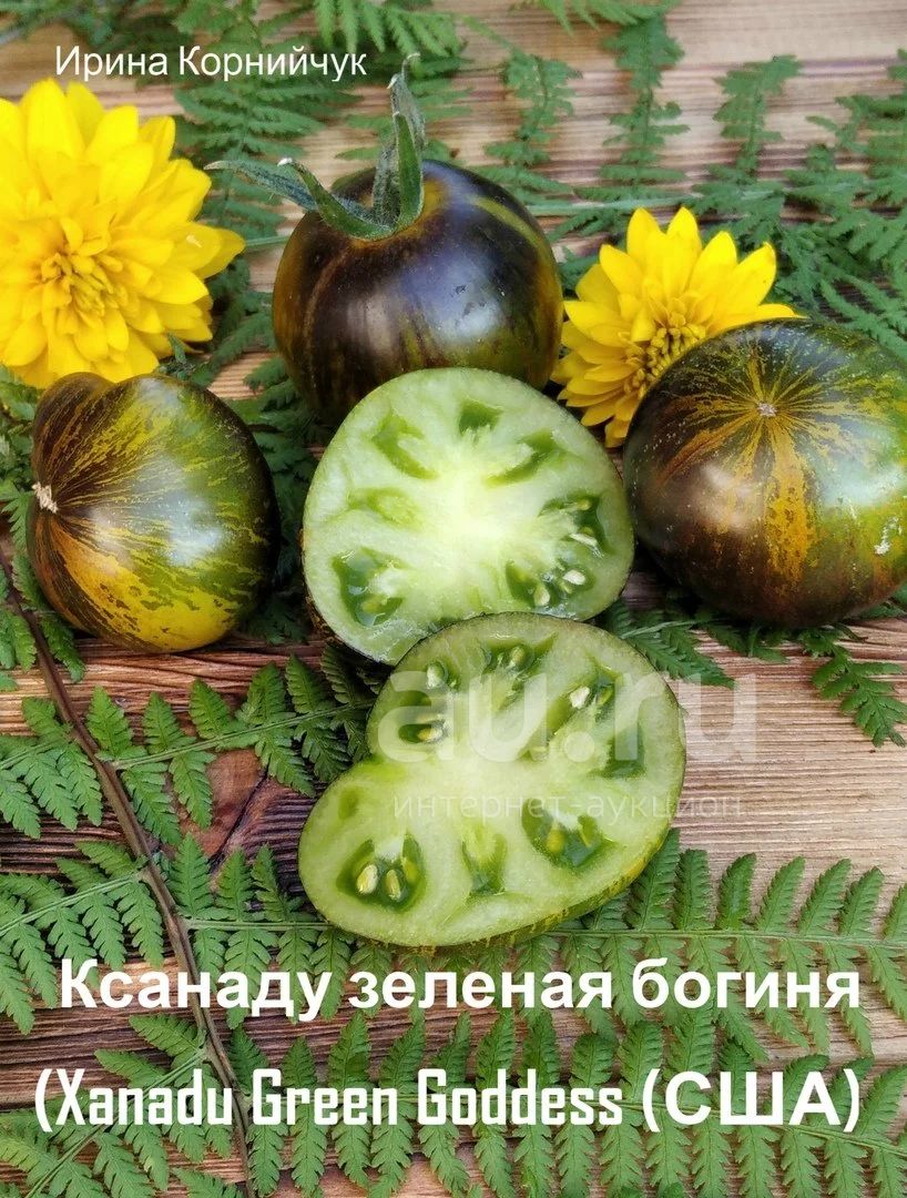 Зеленая богиня ксанаду томат описание фото