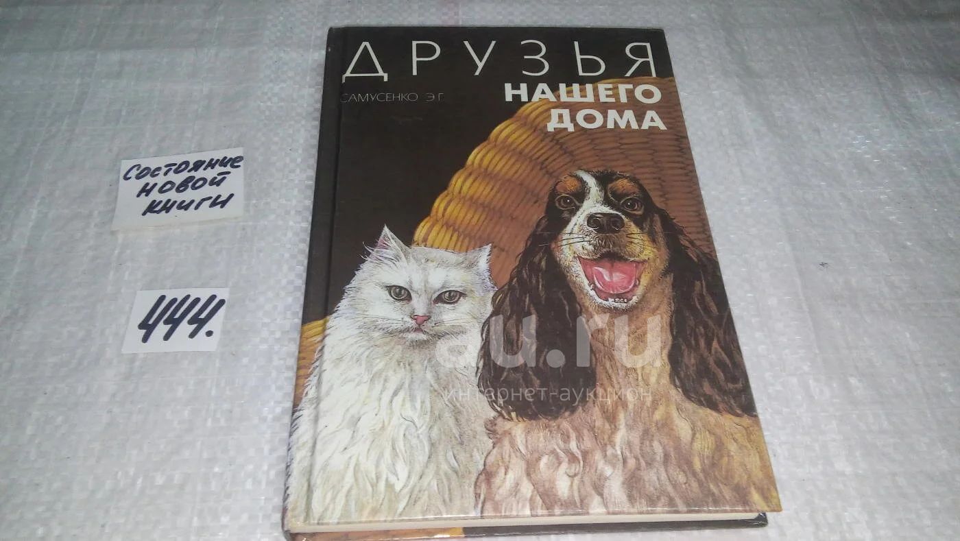 Домашние животные. Книга животные в доме. Книжка для малышей. Книжки про животных. Книга животные в доме.
