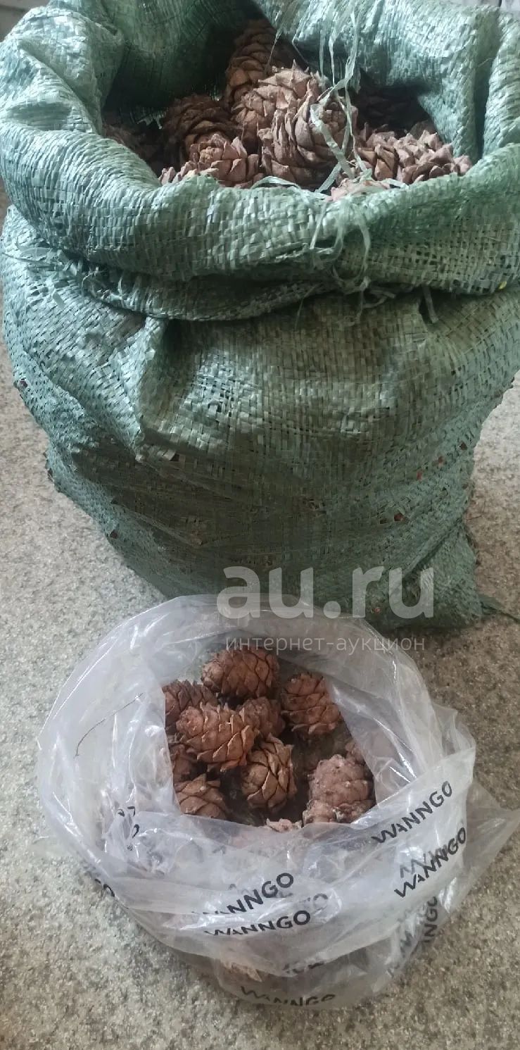 Кедровые шишки — купить в Красноярске. Ягоды, орехи на интернет ...