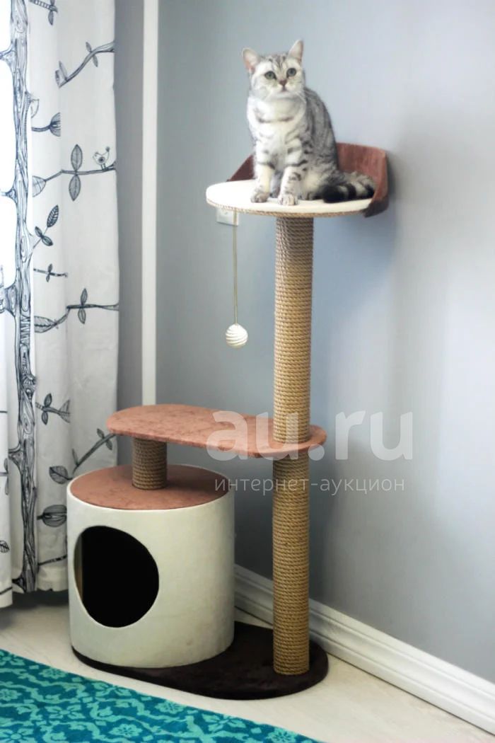 Где Можно Купить Когтеточку Для Кошки