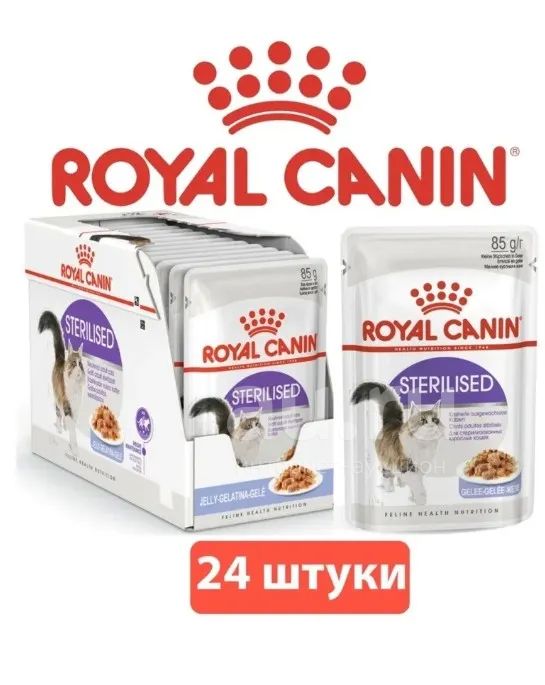 Роял желе. Royal Canin Sterilised 85г. Royal Canin 24 шт влажный. Royal Canin для кошек Sterilised. Royal Canin Sterilised паучиха 24 шт.