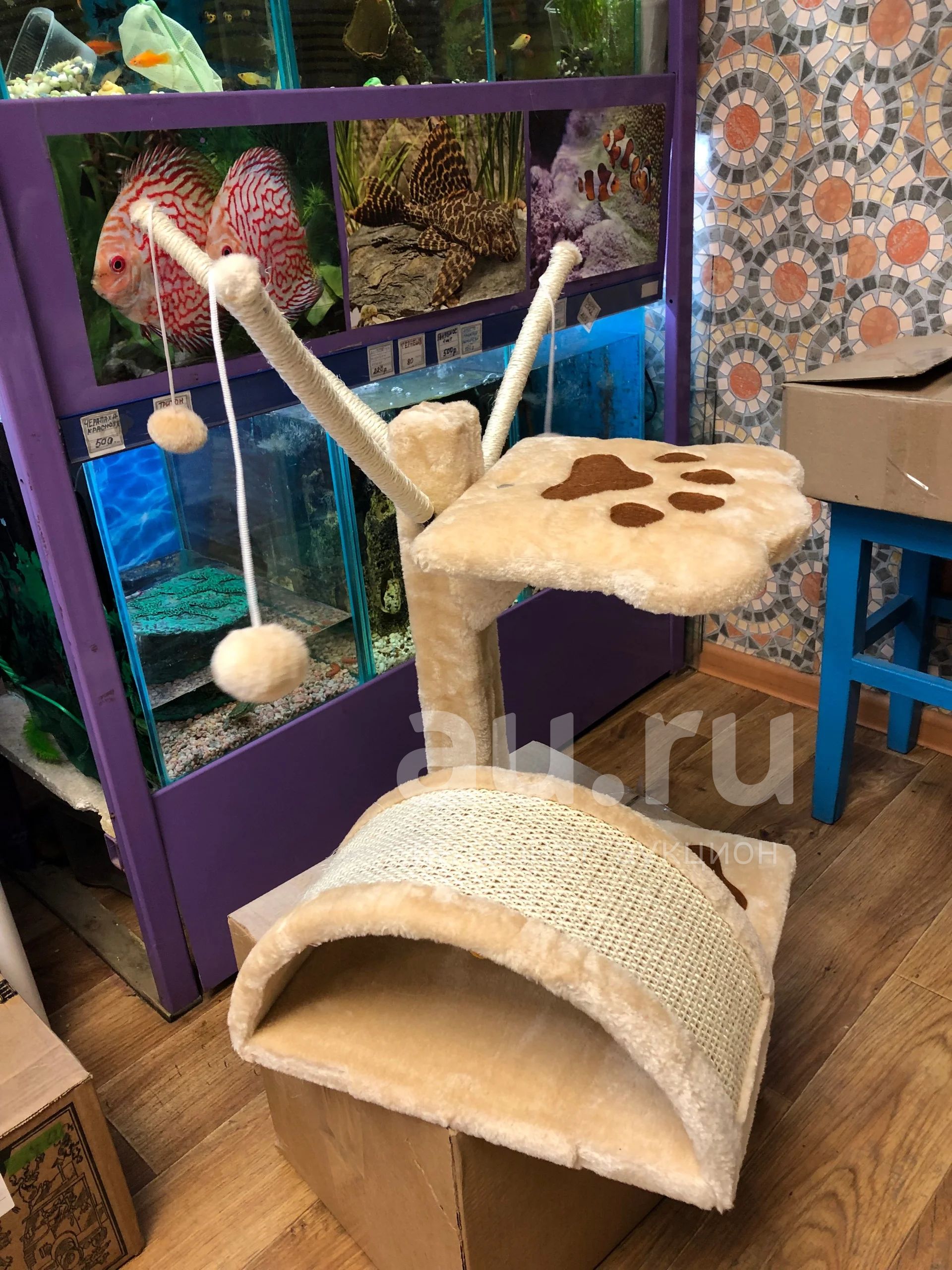 Лежанка лапа