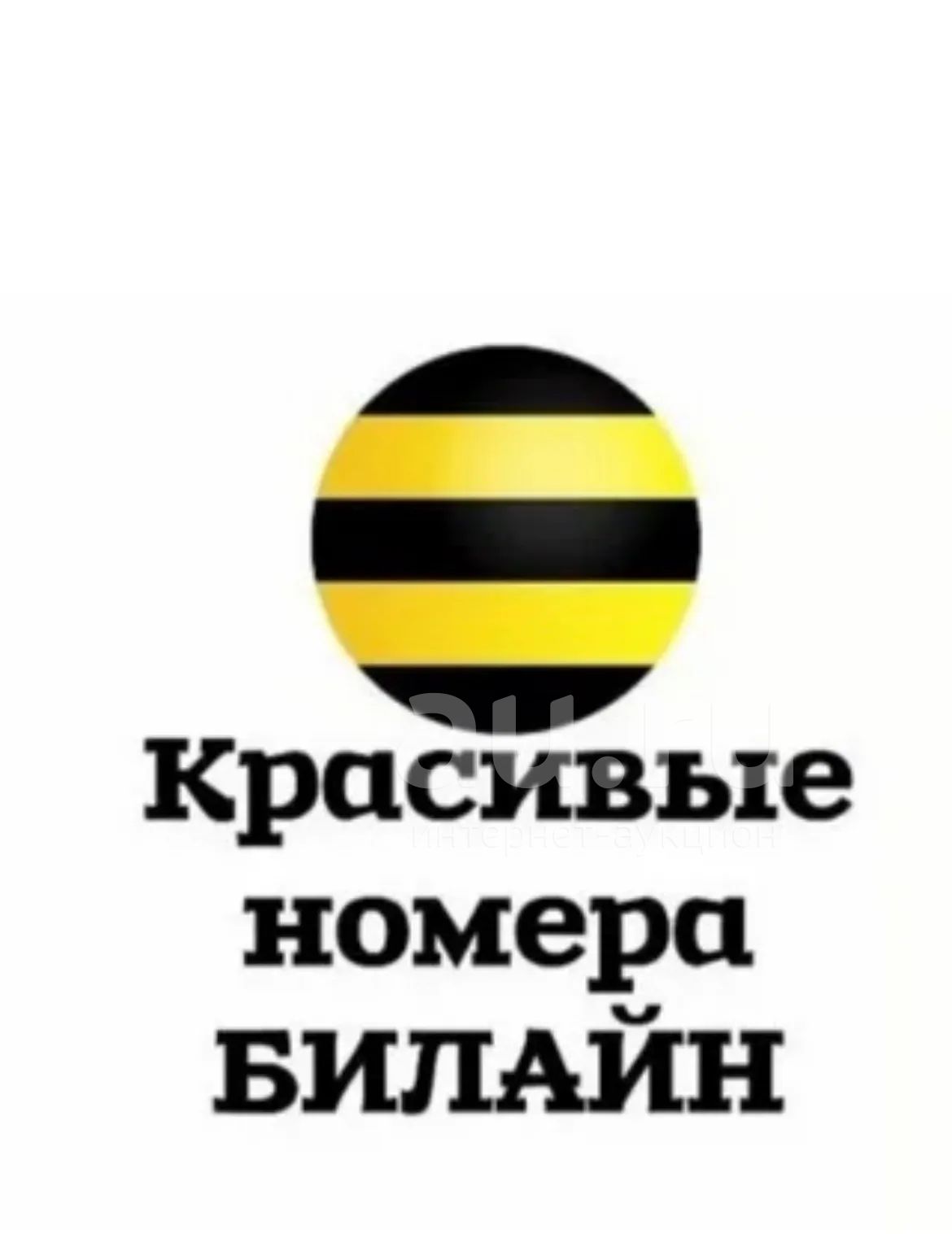 296-0393 Билайн красивый городской номер , симкарта с городским номером ,  красивые номера городские , тариф любой , городской номер — купить в  Красноярске. Телефонные номера, SIM-карты на интернет-аукционе Au.ru