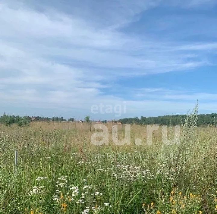 Серебряный Бор Купить Участок