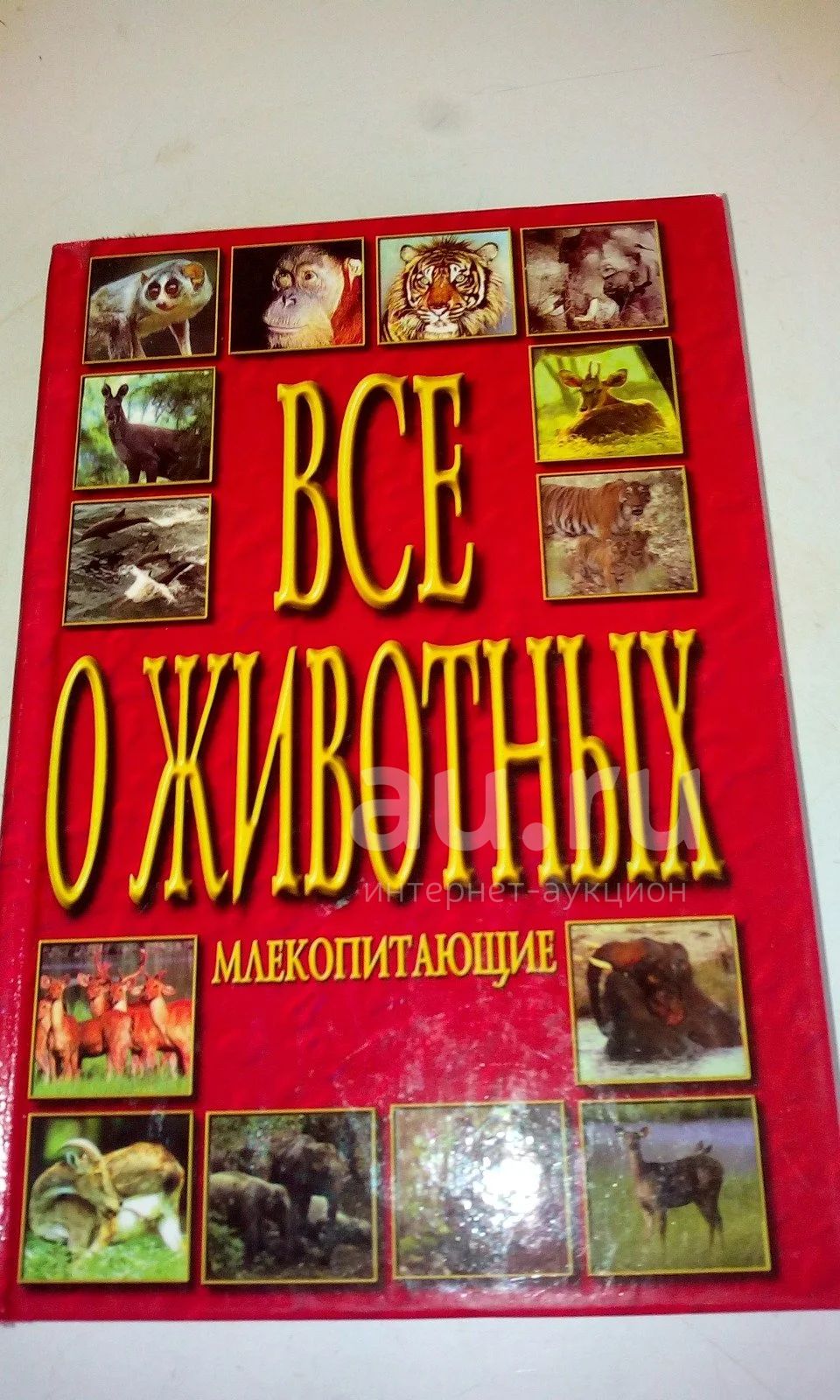 Энциклопедия"Всё о животных.Млекопитающие".С рубля — купить в ...