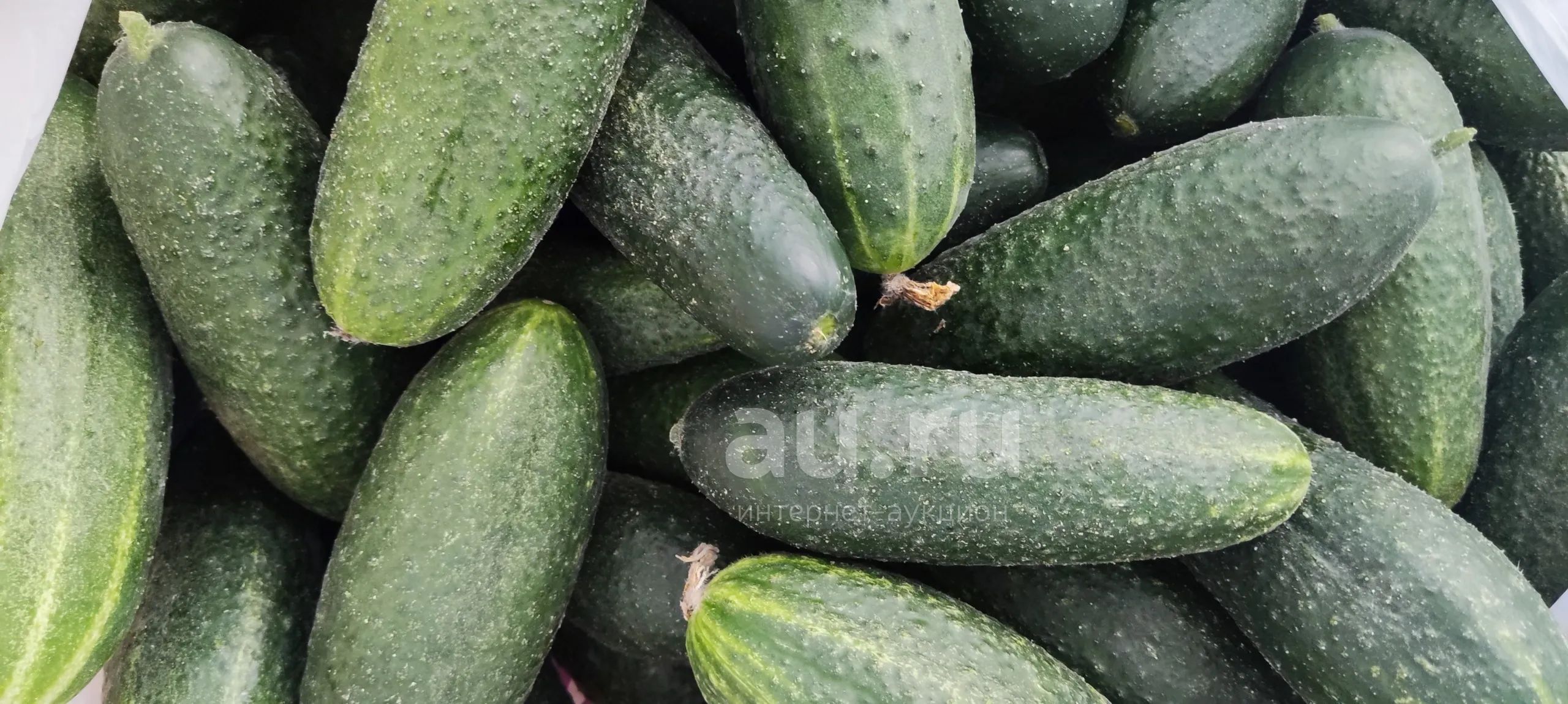 Огурцы, 8 кг — купить в Красноярске. Овощи, фрукты, зелень на интернет ...