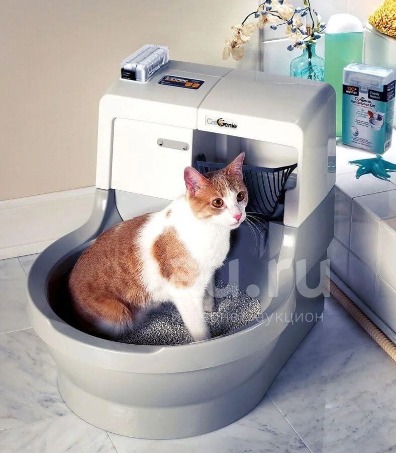 Робот туалет для кошек - CatGenie 120 — купить в Красноярске. Состояние ...