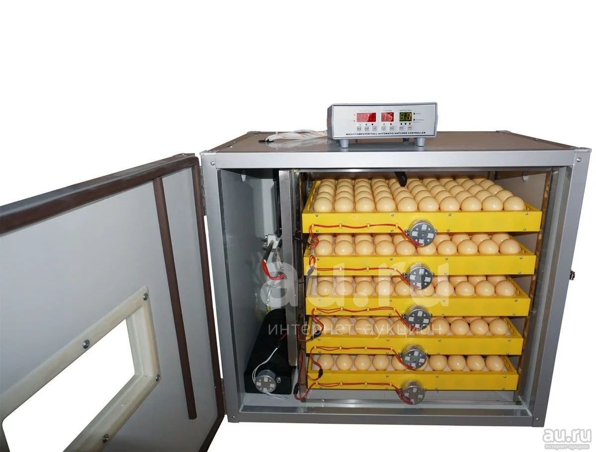 Купить инкубаторы кур. Автоматический инкубатор с двойным питанием MJC-5. Инкубатор аппарат 526шт. Инкубатор на 300 яиц с автоматическим переворотом яиц. Инкубатор incubo 220.