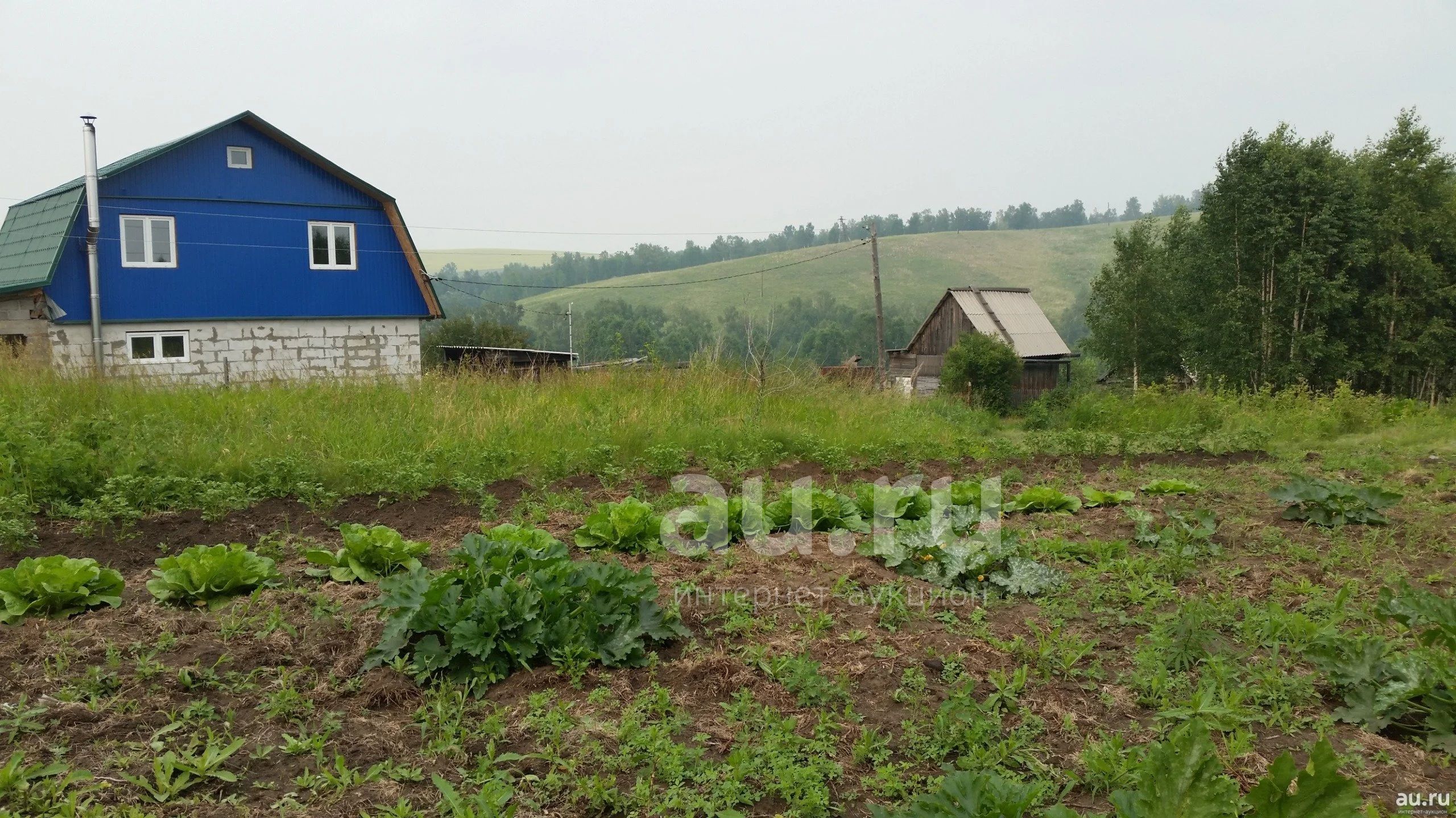Сдам участок на лето под посадки — купить в Красноярске. Земельные ...