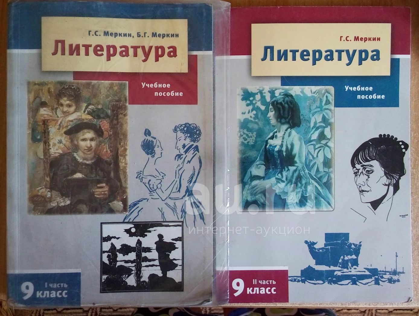 Г с меркин 5. Литература 9 класс. Литература 9 класс меркин. Литература 9 класс учебник меркин. Учебники«литература» г.с. Меркина..