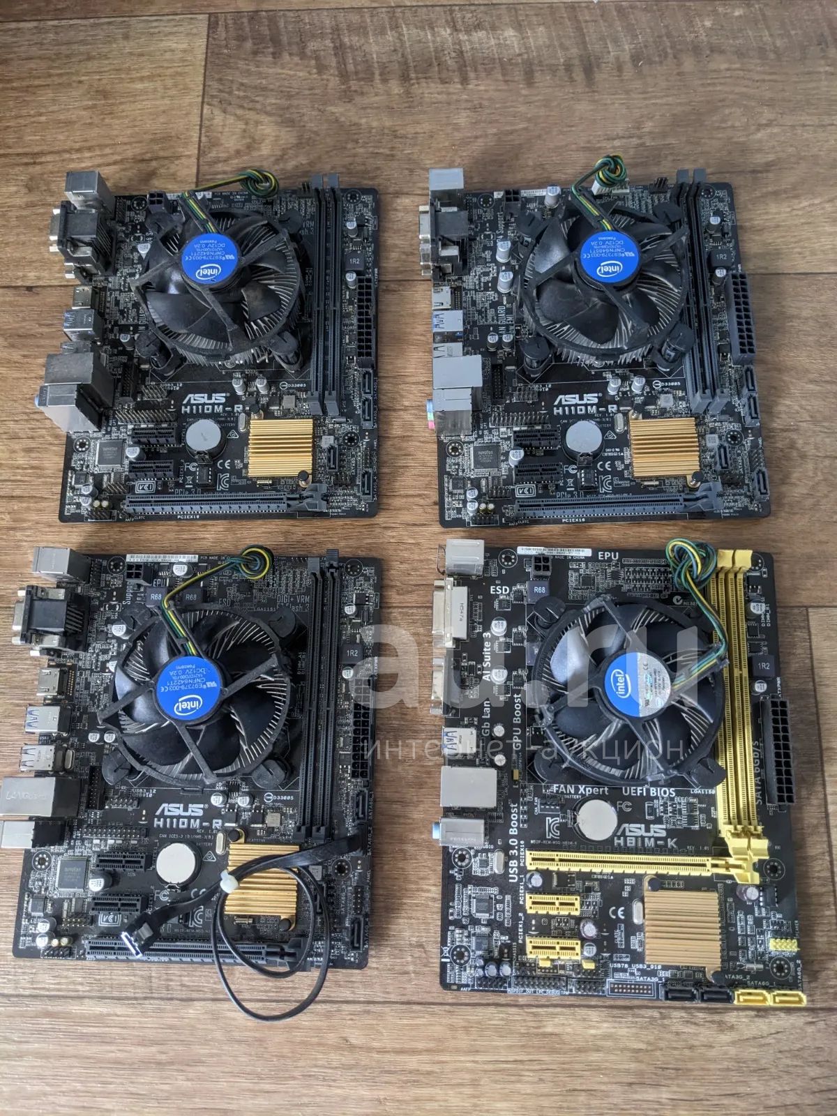 Комплект Материнская плата Asus h81m-k + процессор Pentium G3240 ...