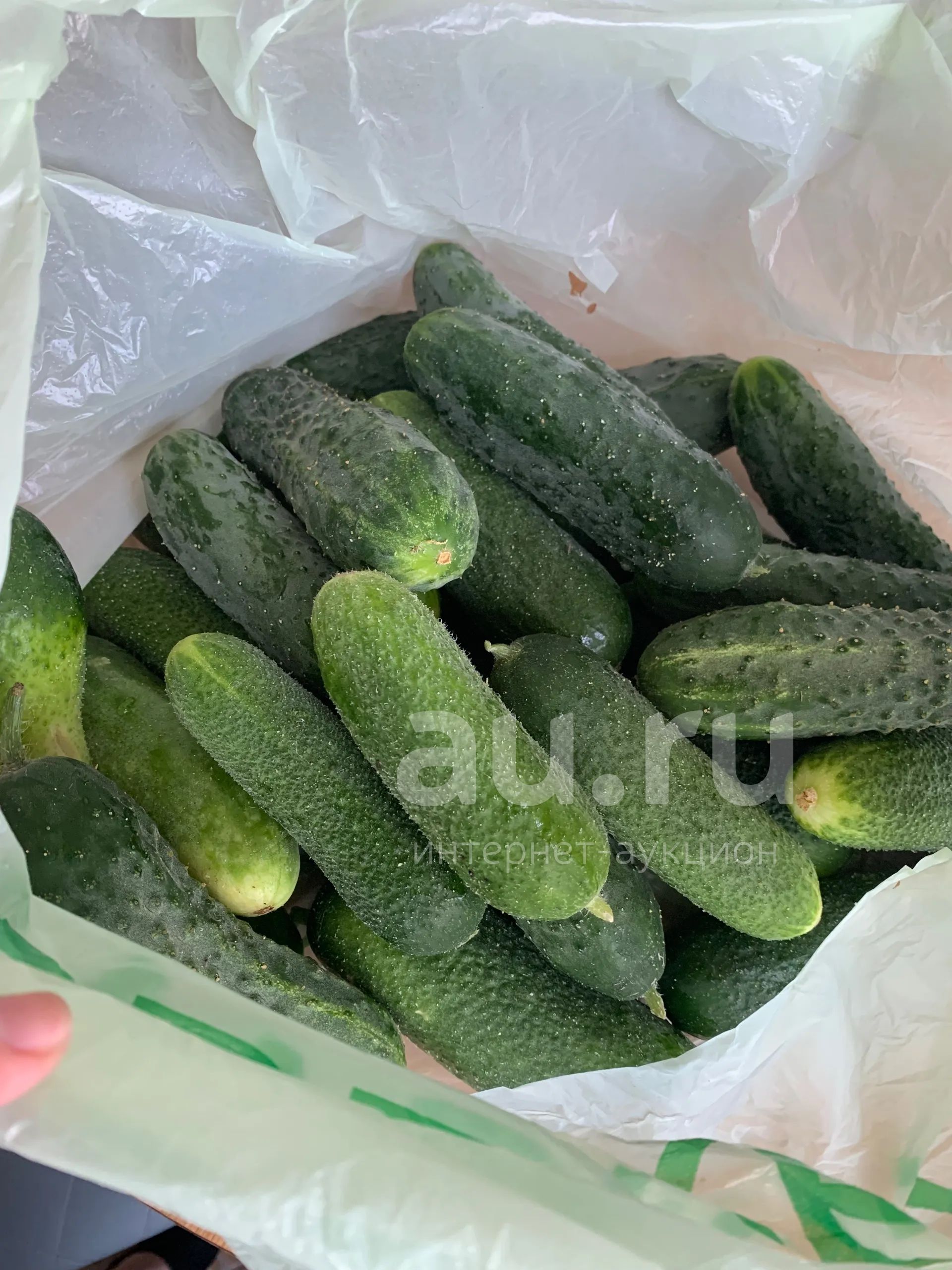 Огурцы — купить в Красноярске. Овощи, фрукты, зелень на интернет ...