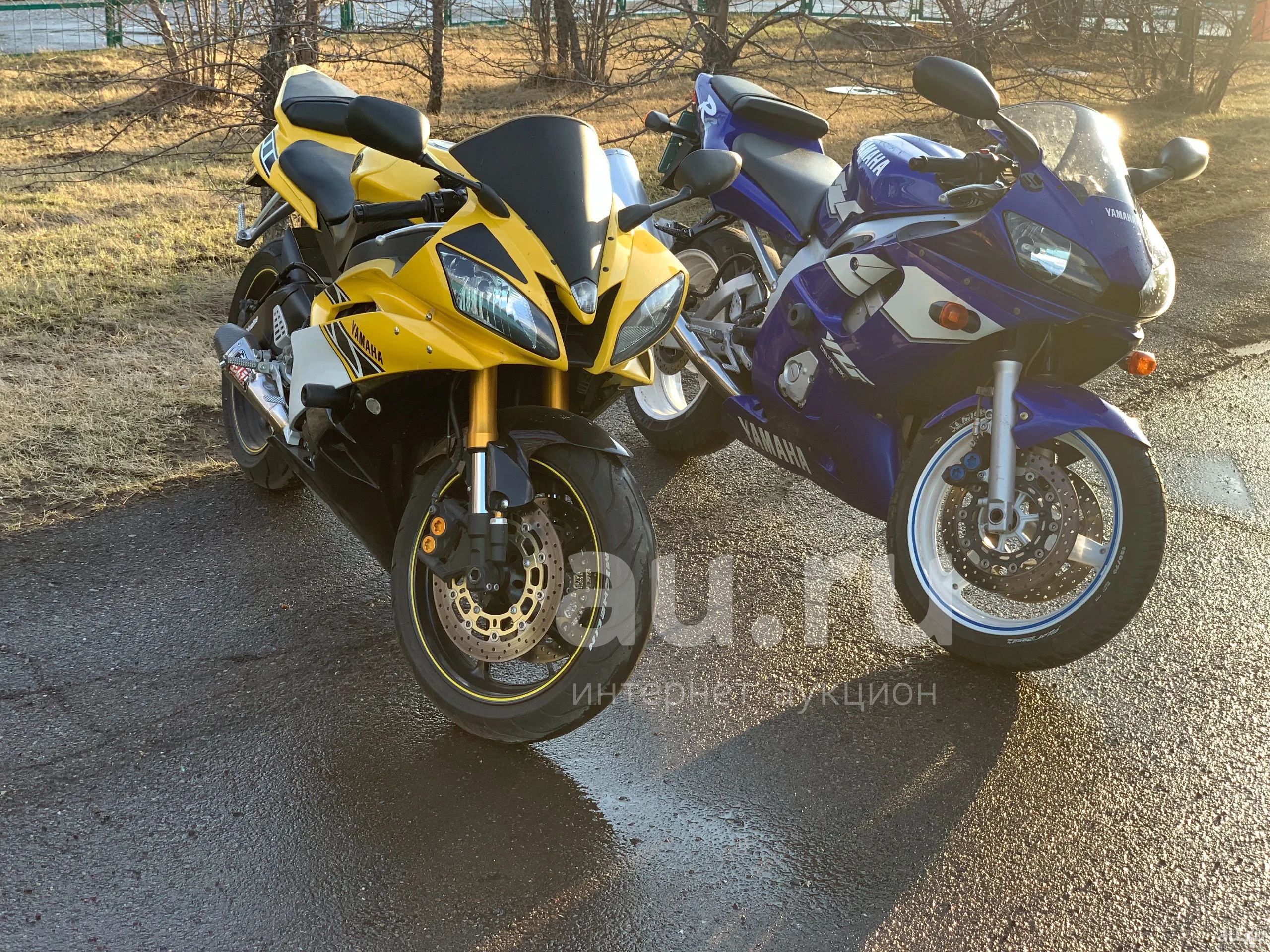 Yamaha r1 2007 blue. Yamaha красноярск. Ямаха мотор центр, красноярск. Yamaha majesty 400 exhaust. Yamaha красноярск.