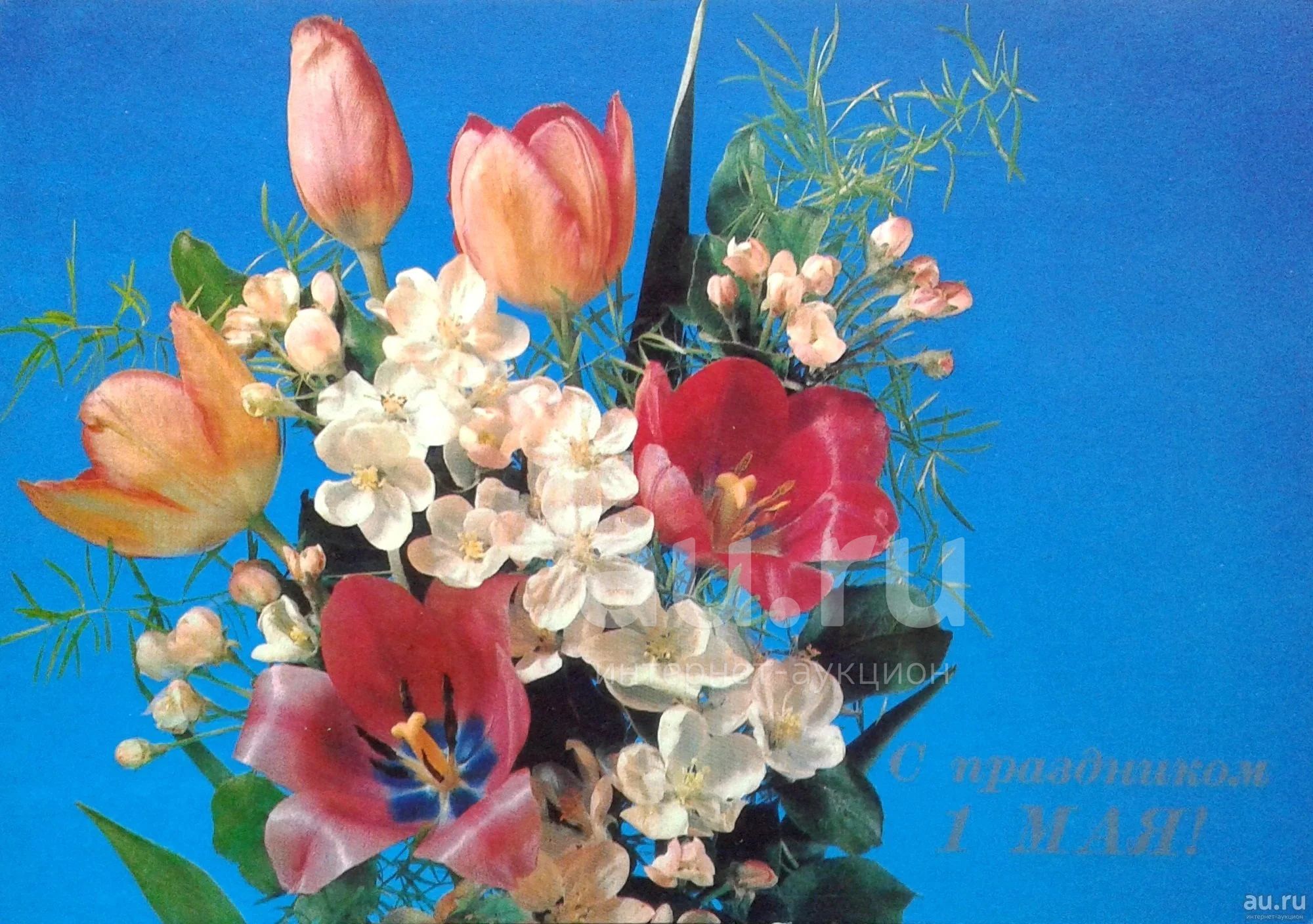 Альбомы 1 мая. Открытка цветы. Старые советские открытки с цветами. Первомай цветы. 1 Мая праздник.