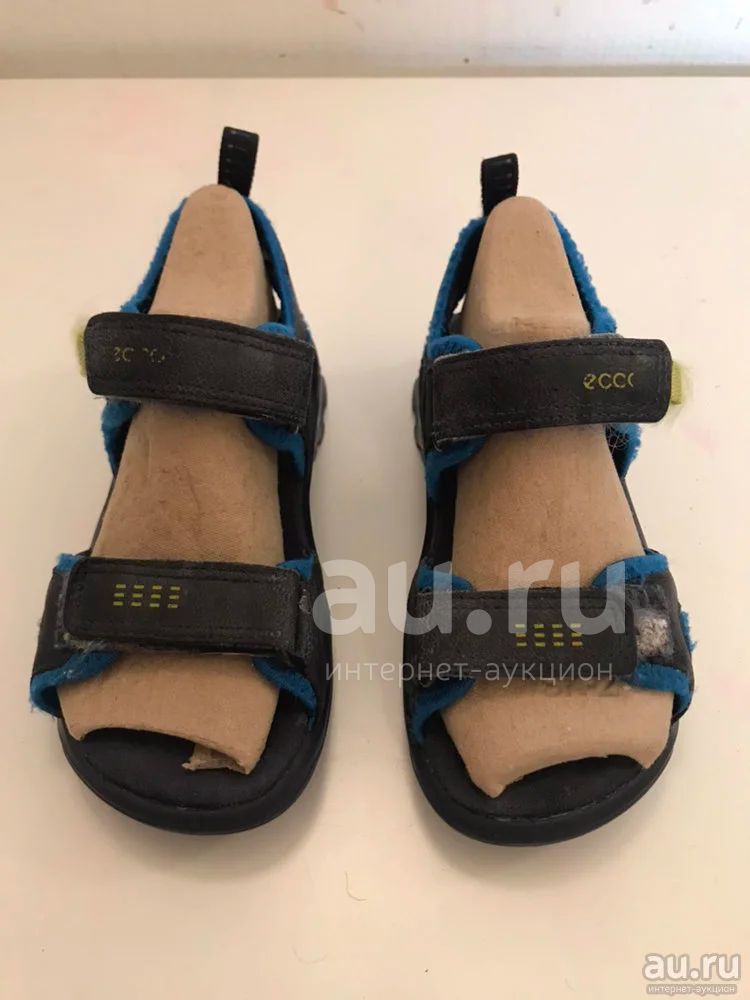 Ecco 27 2025