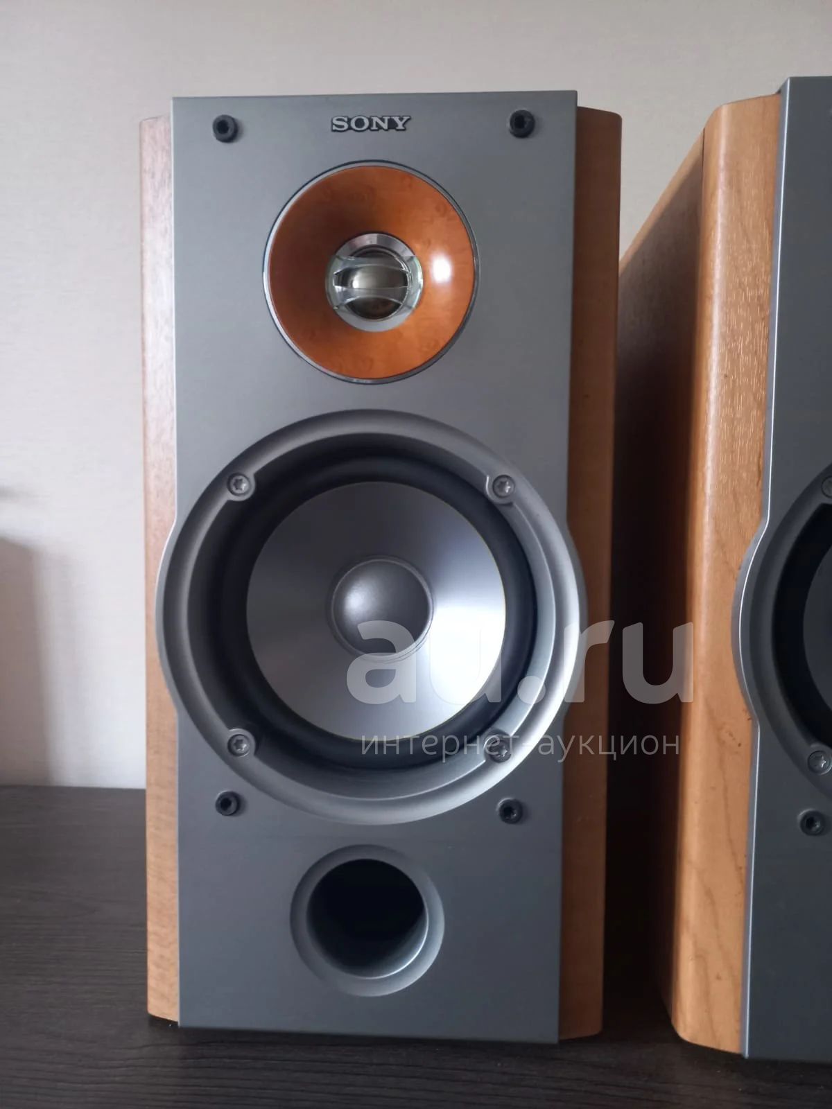 Sony ss hotsell nx1 speakers