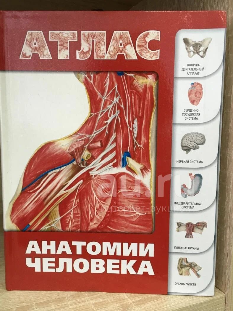 Лучший атлас по анатомии. Атлас анатомии человека левкин. сапин никитюк литвиненко атлас анатомии человека для стоматологов. фотографический атлас анатомии человека борзяк.