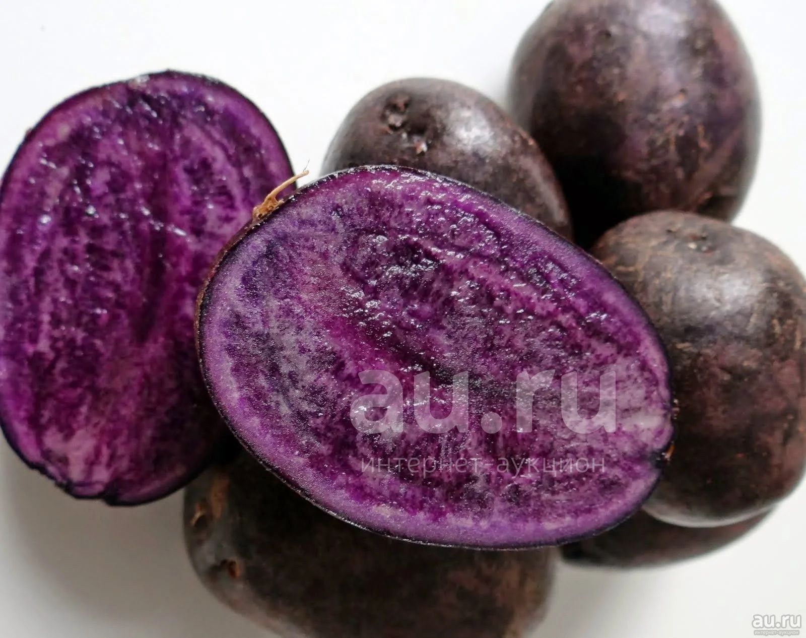 Сорт фиолетовый. Картофель Purple Peruvian. Картофель Майами. Сорт картофеля перуанский фиолетовый (Purple Peruvian). Картофель Пурпл Конго.