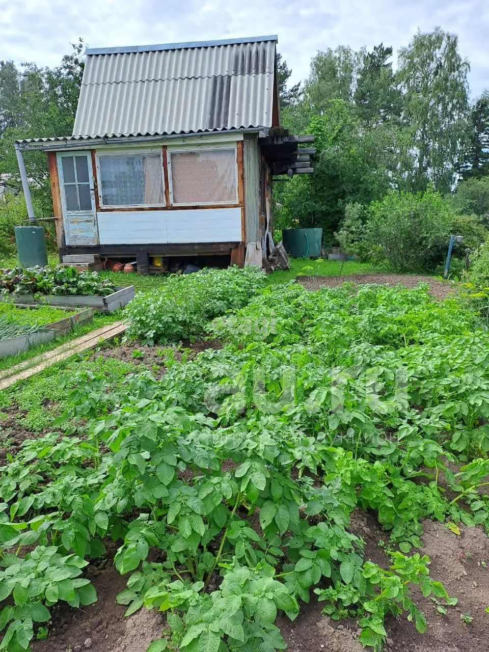 Купить Дачу М
