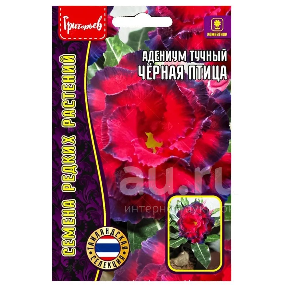 Адениум Черная птица Редкие семена — купить в Красноярске. Садовые ...