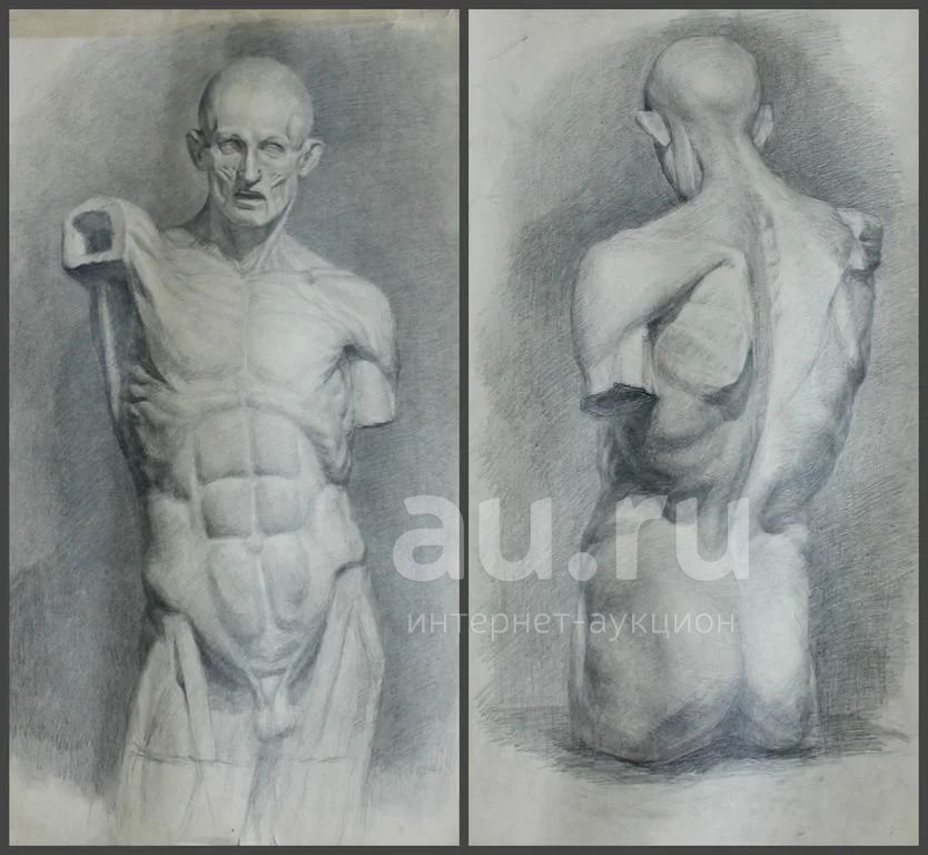 Экорше рисунок академический фигура