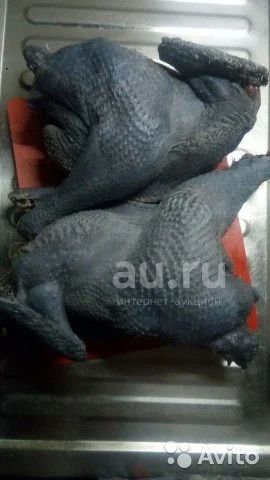 Купить Мясо Черных Кур Цена