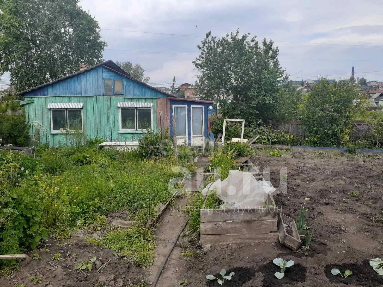 Сот Колос Купить Дачу