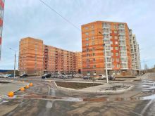 миниатюра