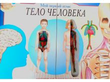 миниатюра