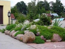 миниатюра