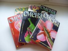 миниатюра