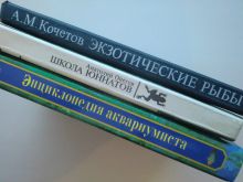 миниатюра