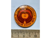 миниатюра