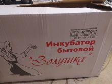 миниатюра