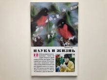 миниатюра