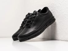 Ecco 2024 biom 40