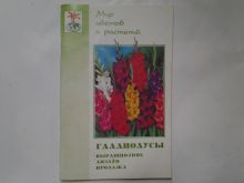 миниатюра
