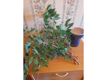 миниатюра