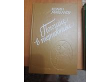 миниатюра
