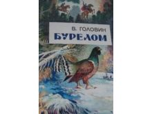 миниатюра