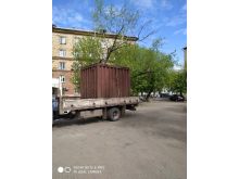 миниатюра