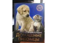 миниатюра