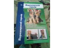 миниатюра