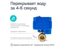 миниатюра