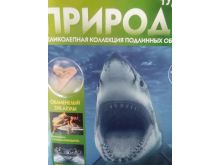 миниатюра