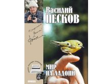 миниатюра