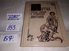 миниатюра