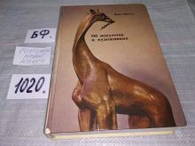 миниатюра