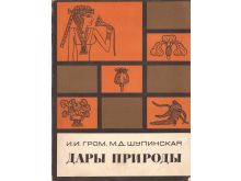 миниатюра
