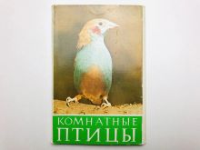 миниатюра